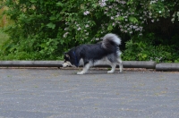 DSC_0700.JPG