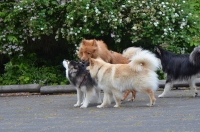 DSC_0704.JPG