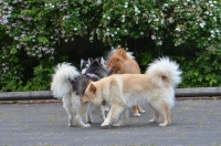 DSC_0705.JPG