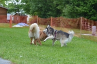 DSC_0718.JPG