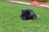 DSC_0721.JPG