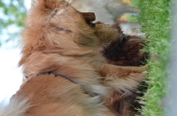 DSC_0727.JPG