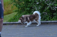 DSC_0743.JPG