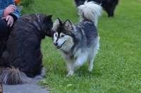 DSC_0744.JPG