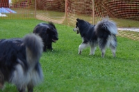 DSC_0747.JPG