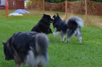 DSC_0748.JPG
