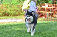 DSC_0753.JPG